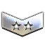 ( 110 Seviye ) Enf Silver